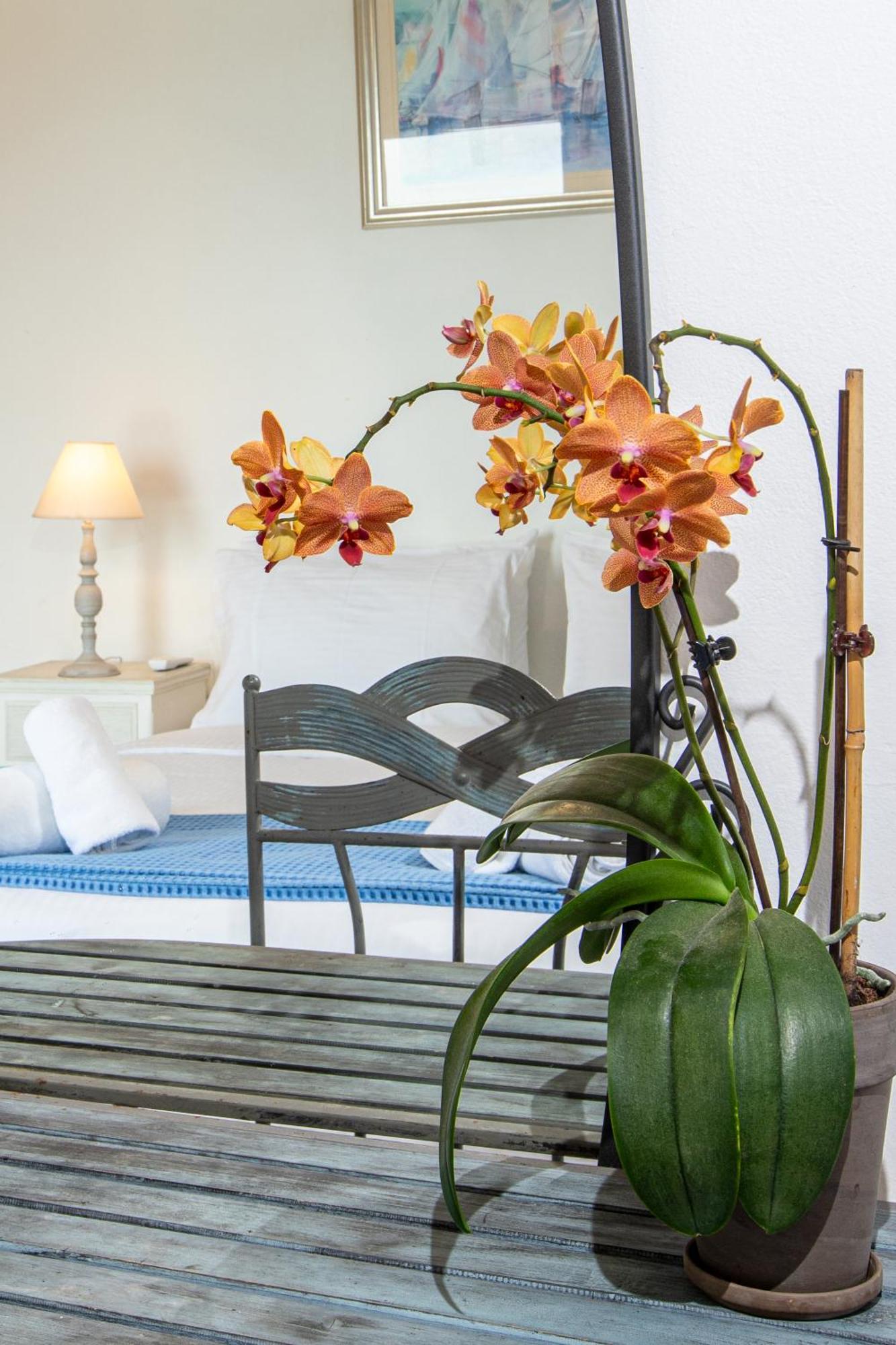 Dimitra Apartment With Private Pool And Sea View -The Ground Floor Of A Two Storey Building Daratsos Екстер'єр фото